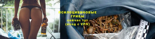 бошки Абаза