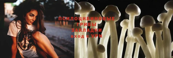 бошки Абаза