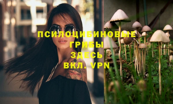 бошки Абаза