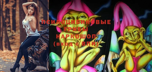 бошки Абаза