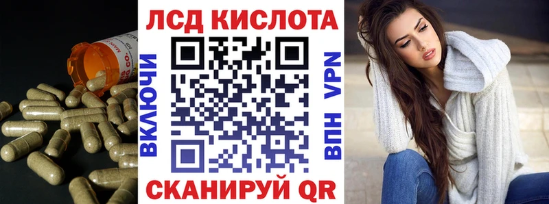 где купить наркоту  OMG вход  Лсд 25 экстази ecstasy  Россошь 