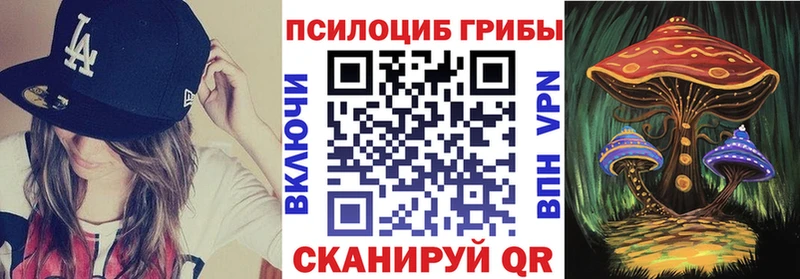 ссылка на мегу tor  цена   Россошь  Галлюциногенные грибы прущие грибы 