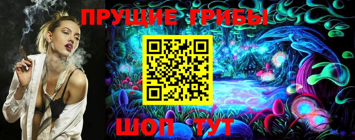 Россошь  Галлюциногенные грибы прущие грибы  Вход с VPN 